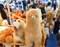 我国外贸“伴侣圈”越来越大 2024年外贸